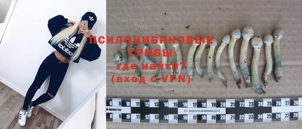 прущая мука Пересвет