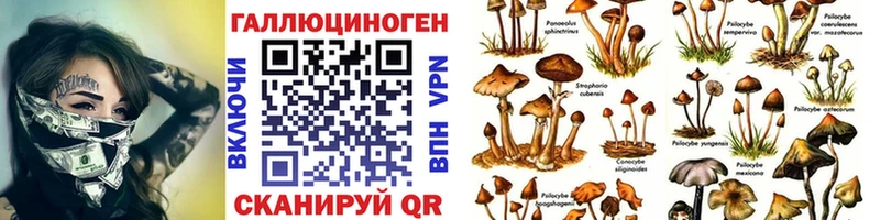 Псилоцибиновые грибы MAGIC MUSHROOMS  Тетюши 
